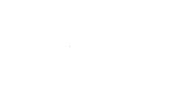 Kauf auf Rechnung